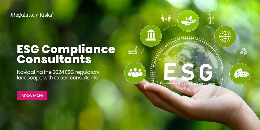 Navigating the 2024 ESG Regulatory Landscape with Expert Consultants