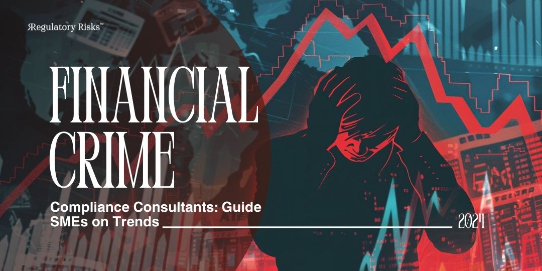 Financial Crime Compliance Consultants in 2024: Guide SMEs on Trends