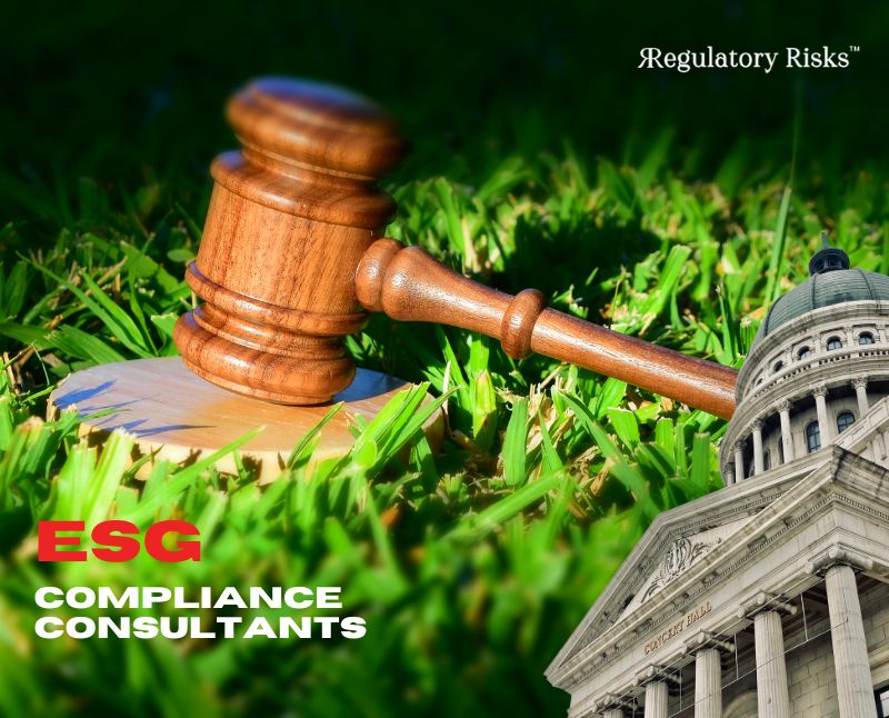 ESG Compliance Consultants: The Future of Regulatory Compliance