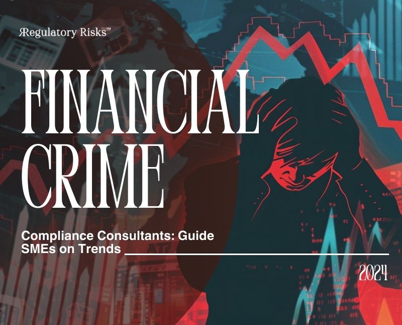 Financial Crime Compliance Consultants in 2024: Guide SMEs on Trends