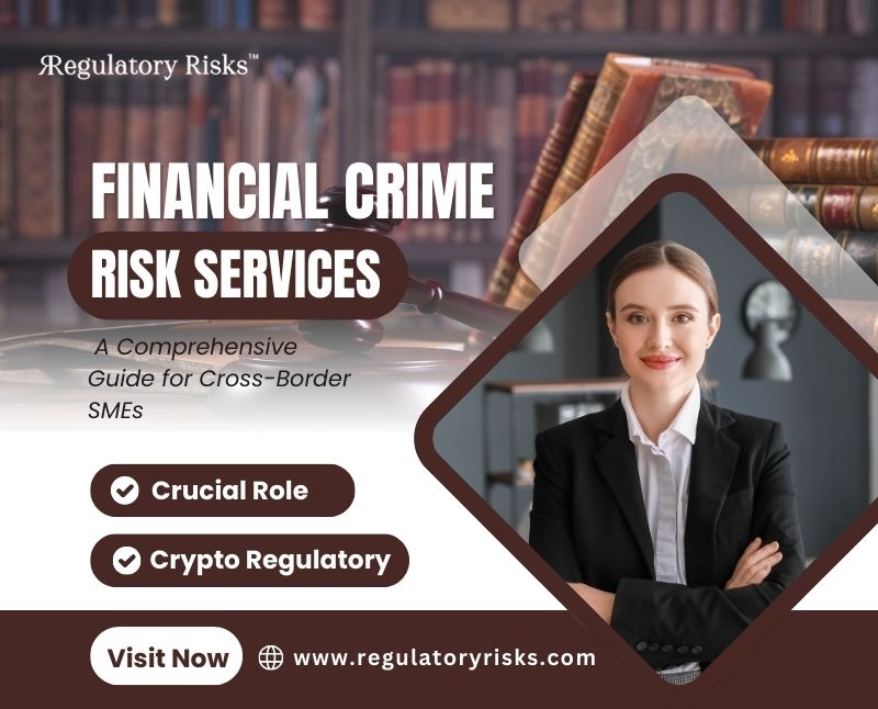 Financial Crime Risk Services in 2024 for Cross-Border SMEs