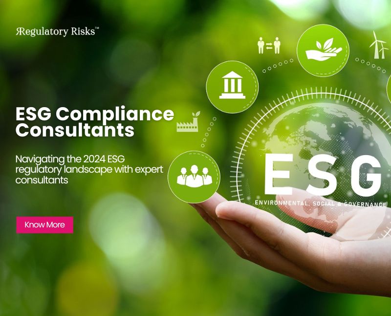 Navigating the 2024 ESG Regulatory Landscape with Expert Consultants