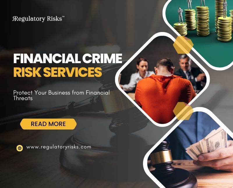 Financial Crime Risk Services: Protect Your Business from Financial Threats